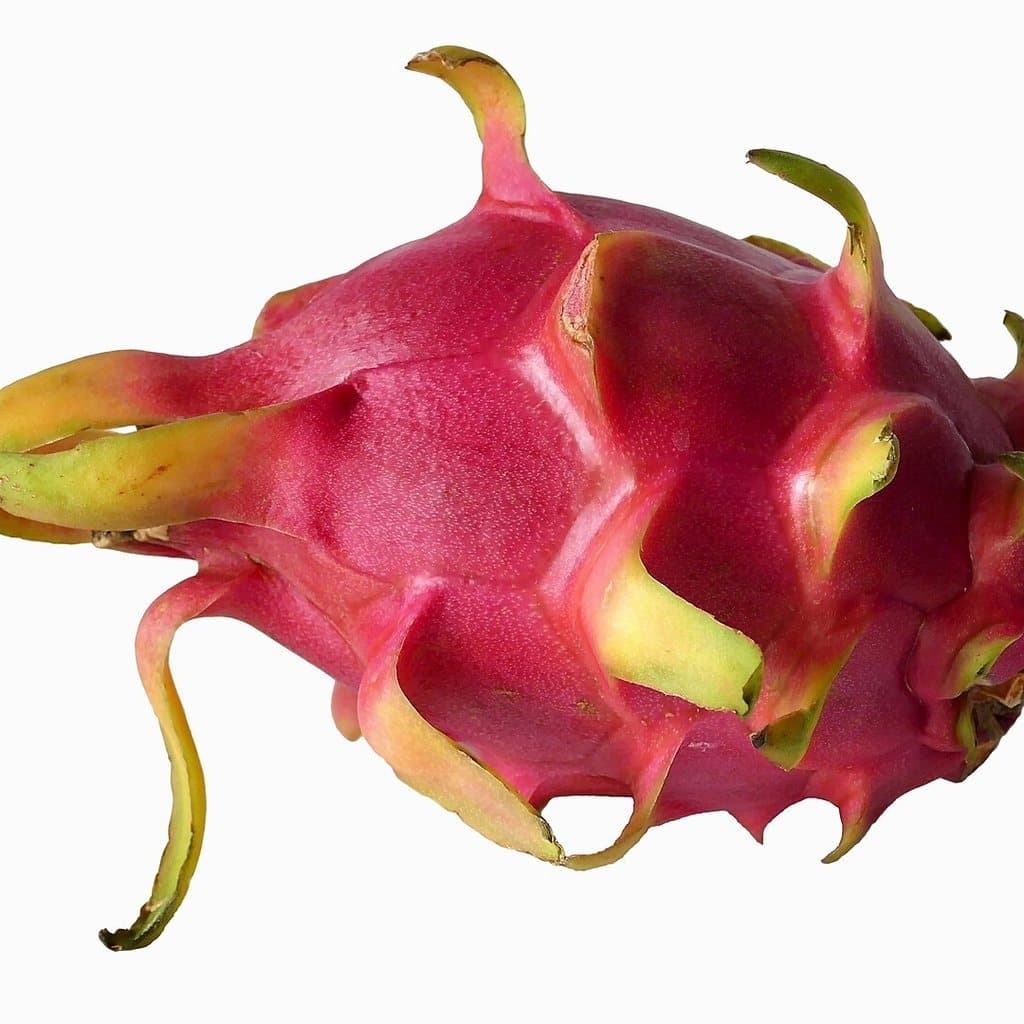 Dragon Fruit